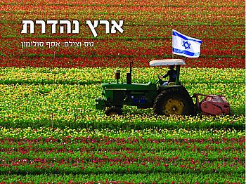 תמונה של הספר ארץ נהדרת