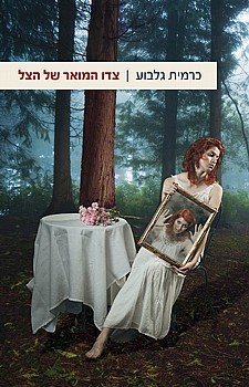 תמונה של הספר צדו המואר של הצל