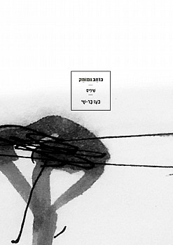 תמונה של הספר כותב ומוחק